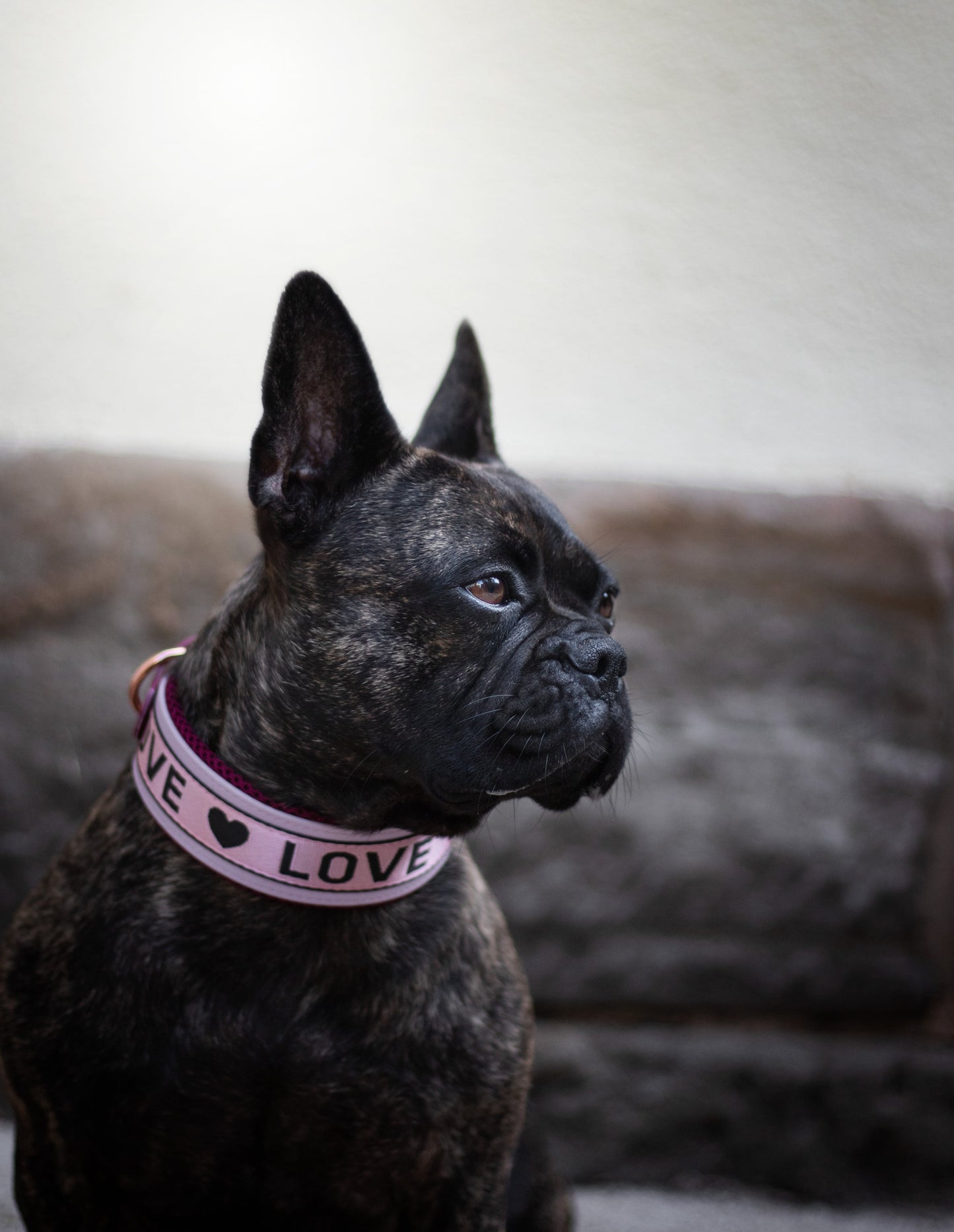 Biothane Halsband breit - Love