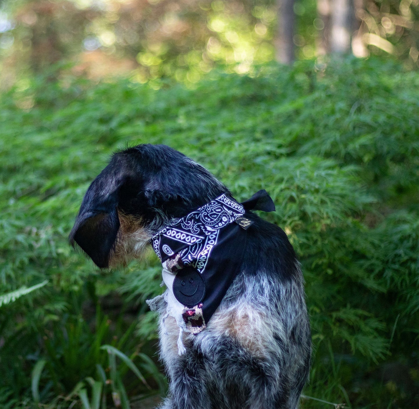 Poshy Paisley Bandana - Rosa-PaliSchwarz-Smiley