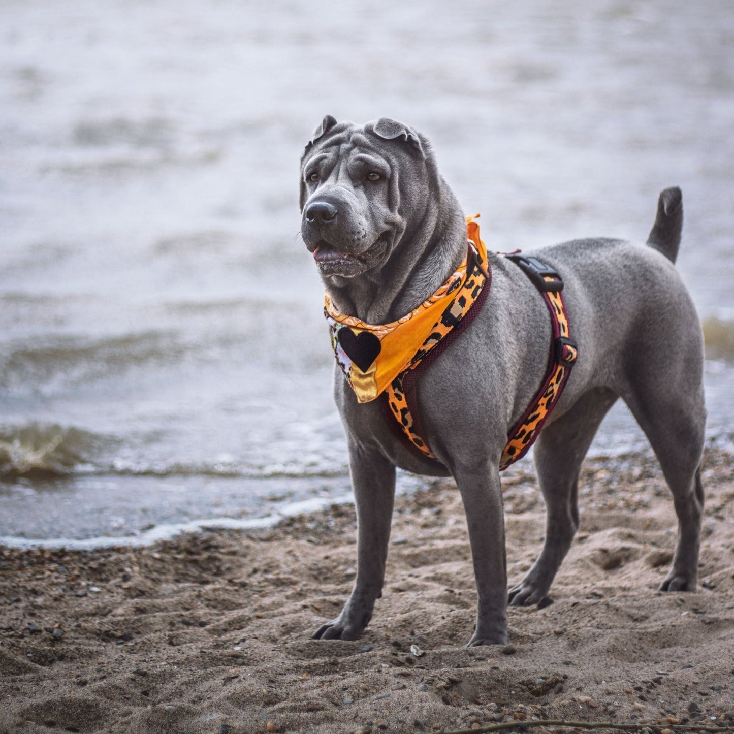 Poshy Paisley Bandana -Orange- Mint Palituch-Flieder Pailletten- Anti Social Patch