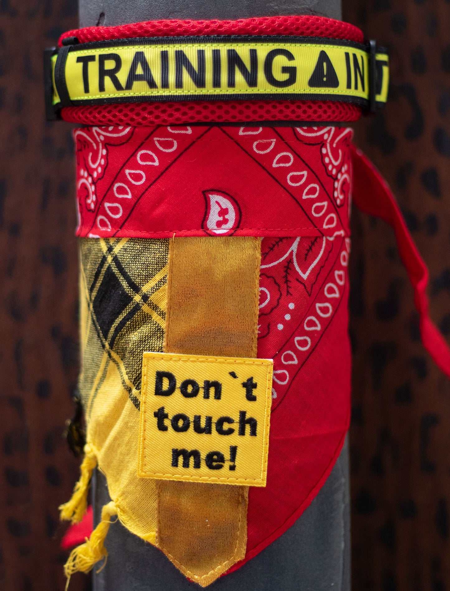 Poshy Paisley Bandana - Rot -Pali Gelb-Don´t touch