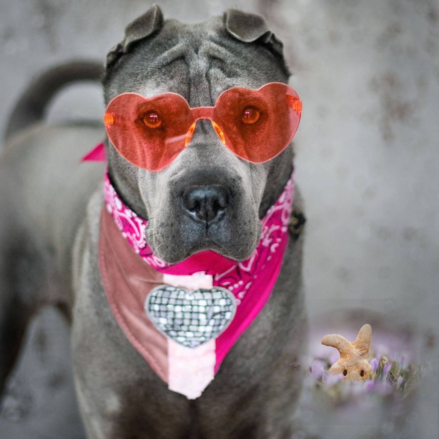 Poshy Paisley Bandana - Pink- Samt altrosa- Glitzer Herz silber