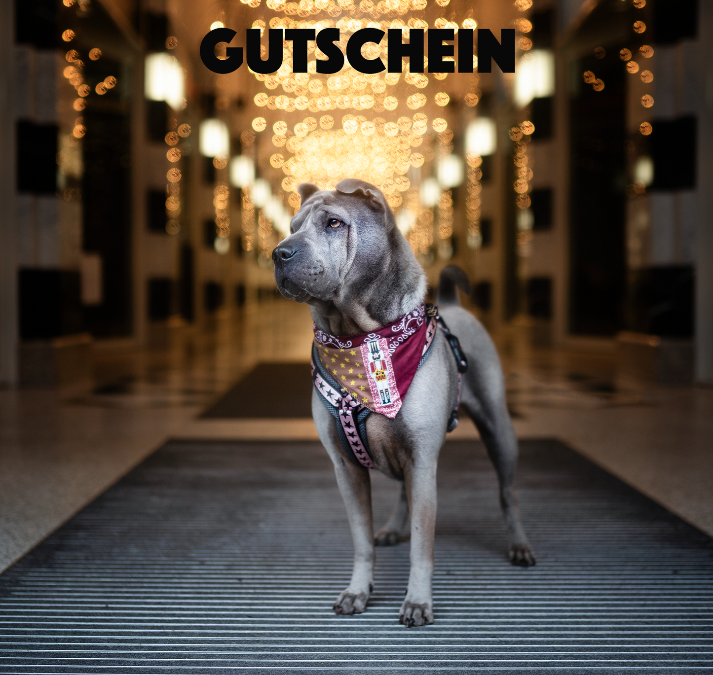 Geschenkgutschein