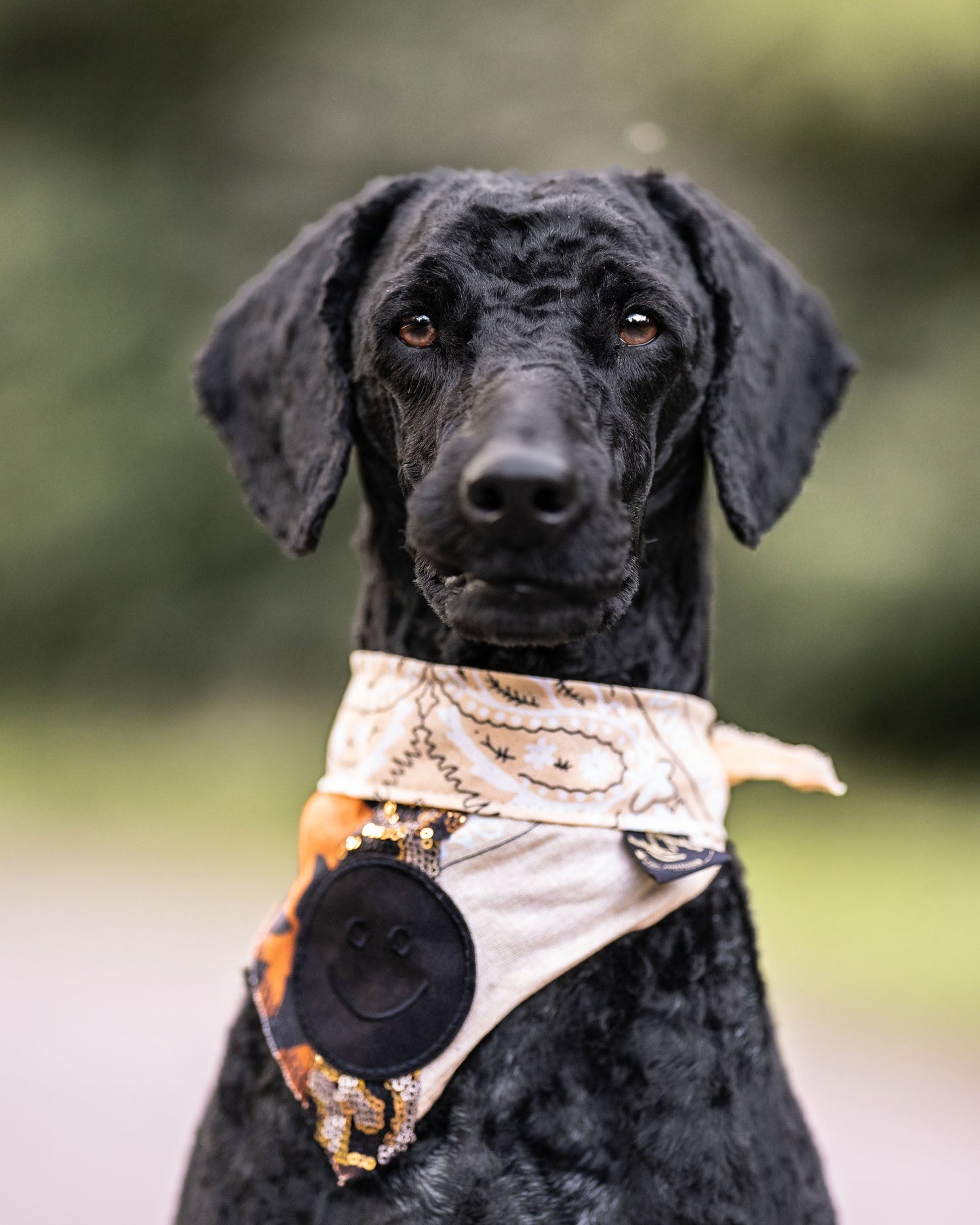 Poshy Paisley Bandana - Flieder- Grau Pali- Herz