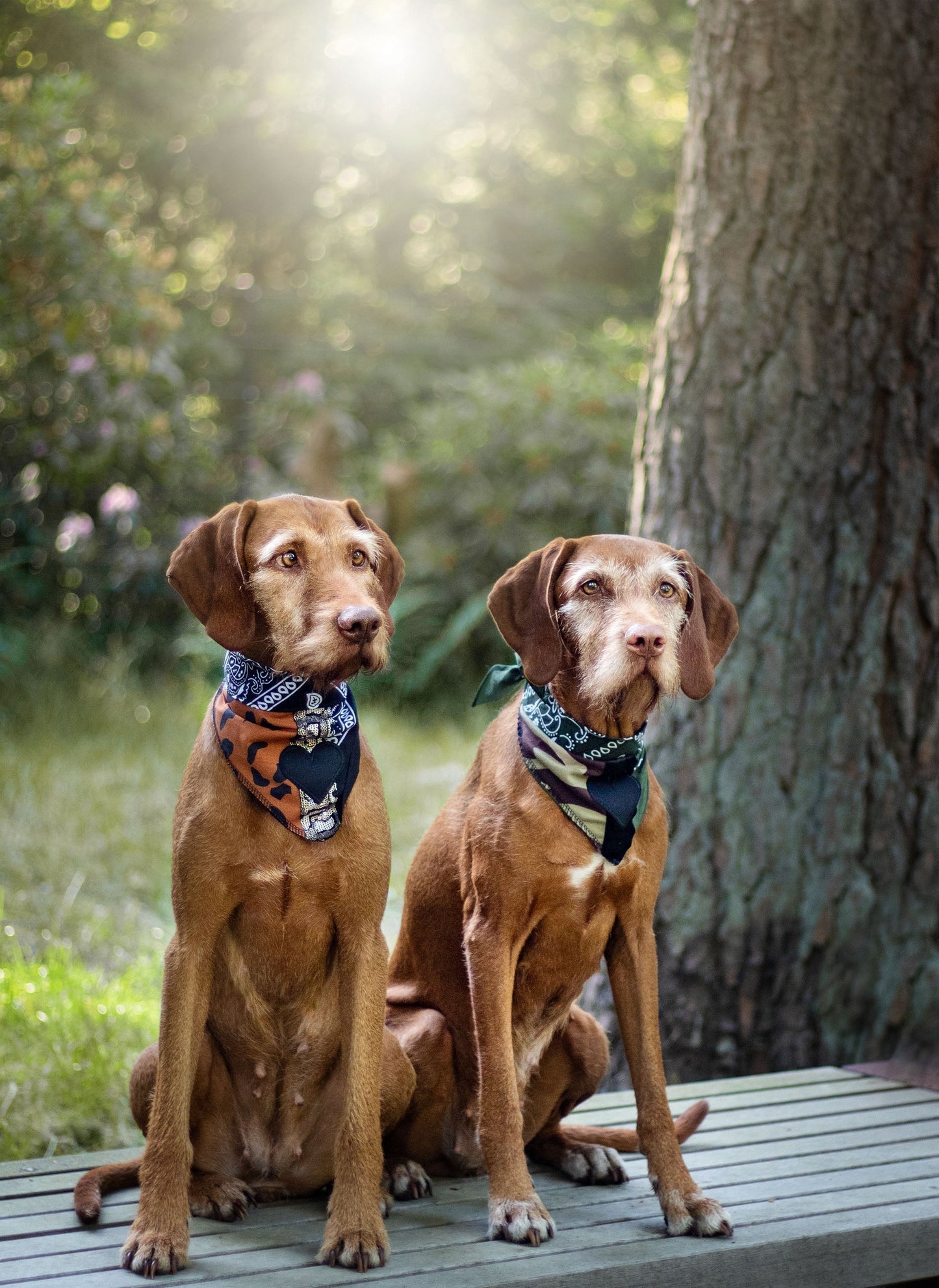 Poshy Paisley Bandana - Rosa-PaliSchwarz-Smiley