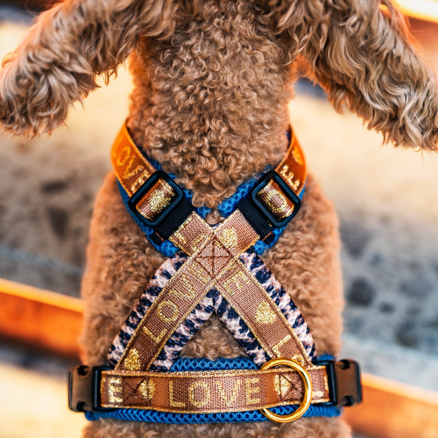 Doppel X Geschirr ab XXS Love 2cm Gurtband - kleine Hunde