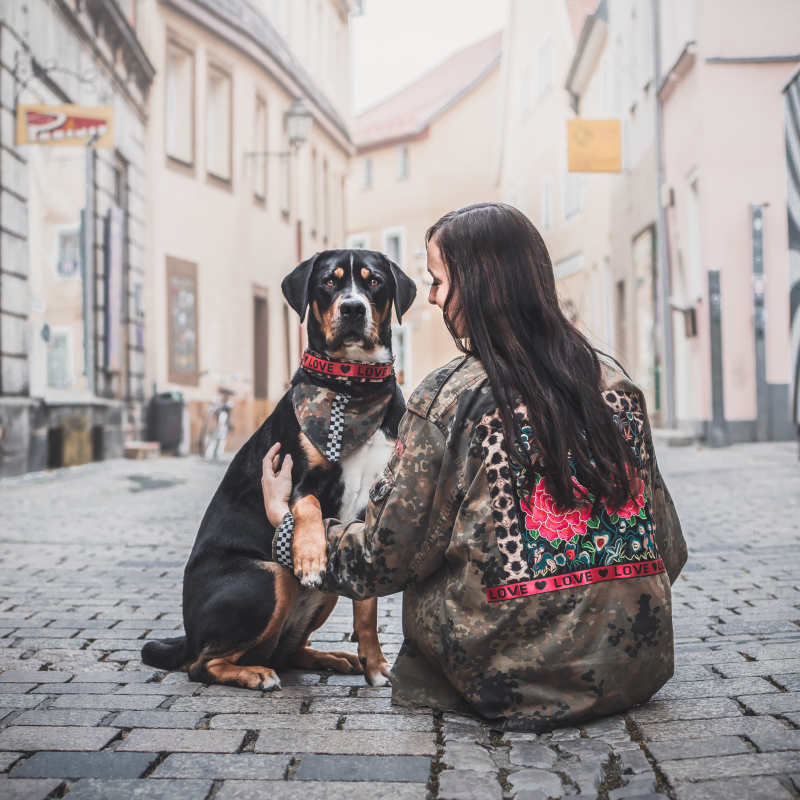 Pawtner Look - Jacke & Halstuch