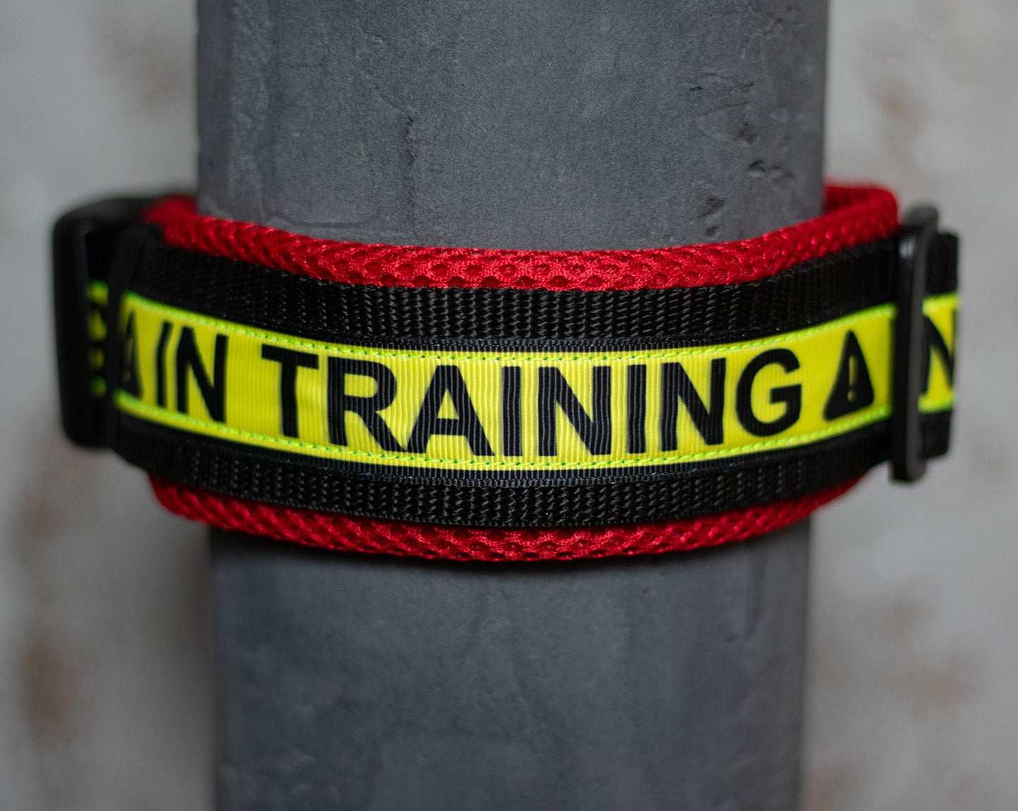 In Training Air Mesh Halsband - 5 cm