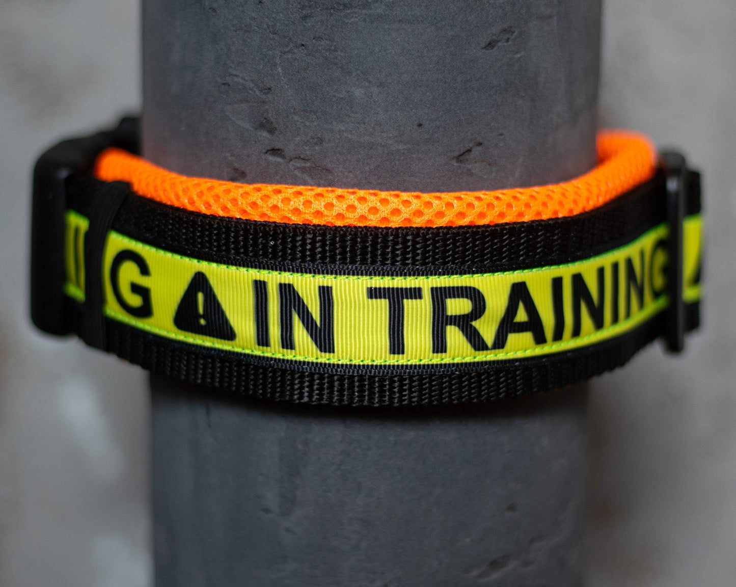 In Training Air Mesh Halsband - 5 cm