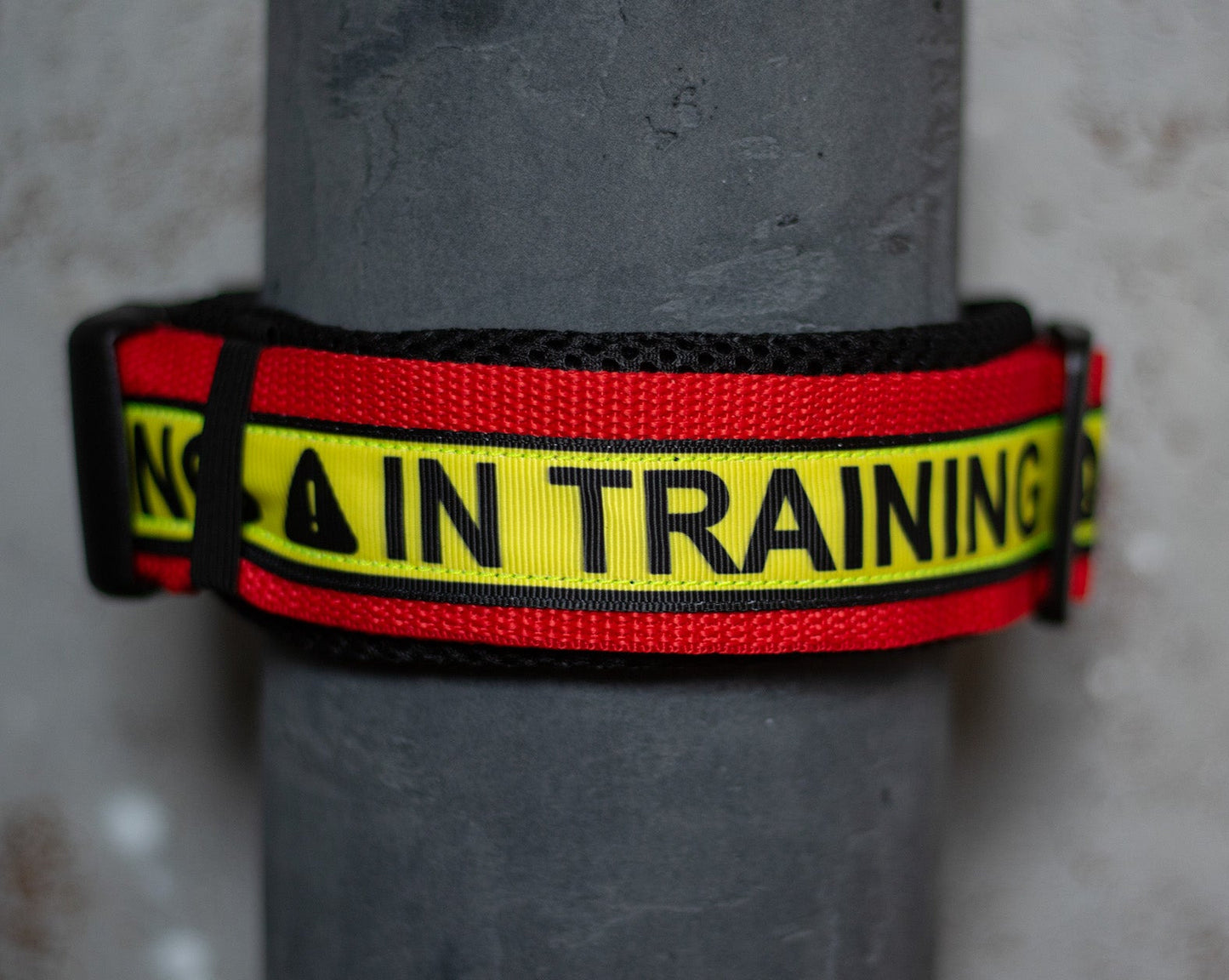 In Training Air Mesh Halsband - 5 cm