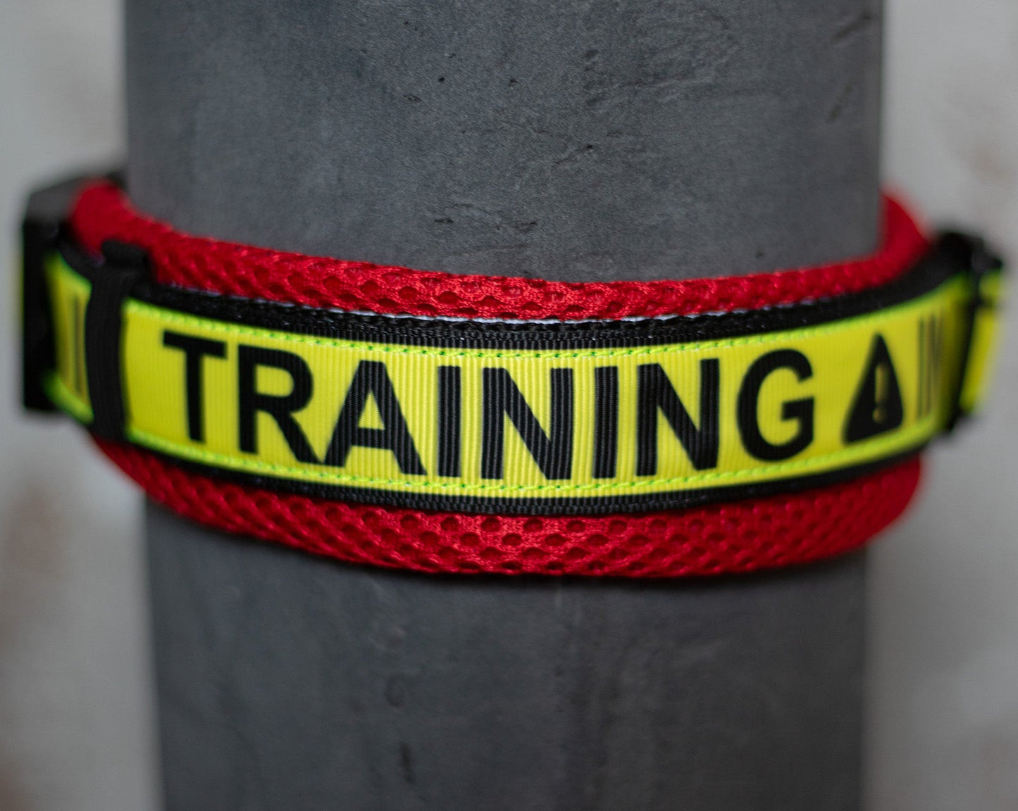 In Training Air Mesh Halsband - 3,5 cm
