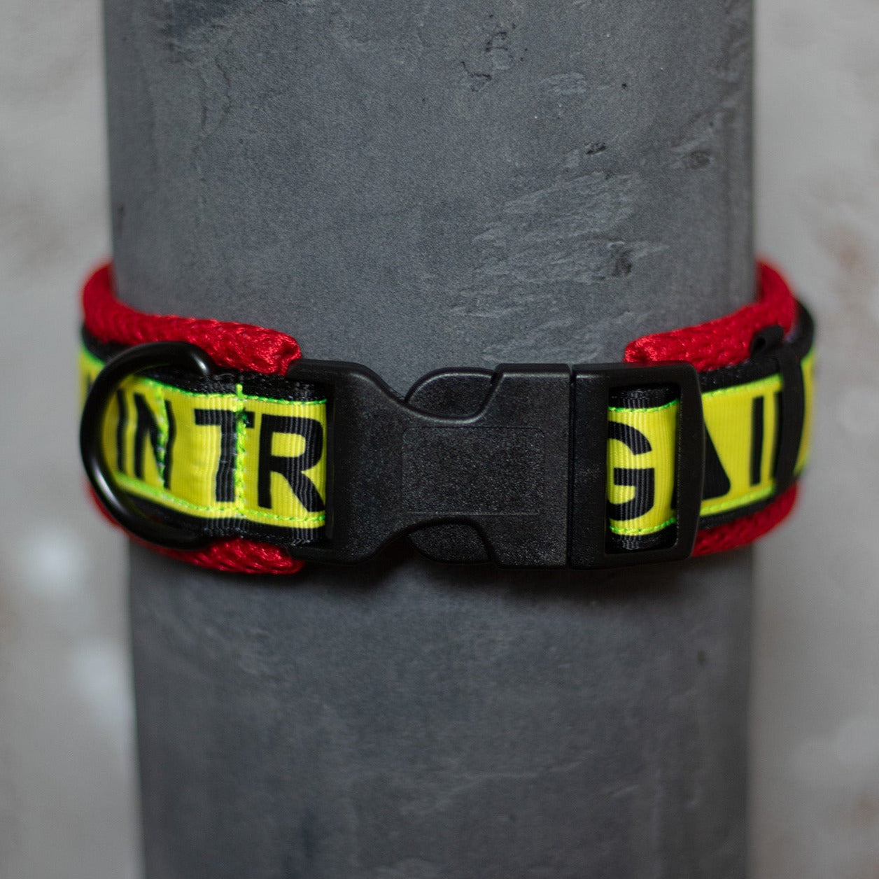 In Training Air Mesh Halsband - 3,5 cm