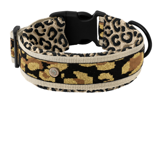 Air Mesh Collar 5 cm Leopard