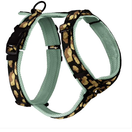Harness Leopard