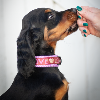 Air Mesh Collar Love 2cm Small Dogs