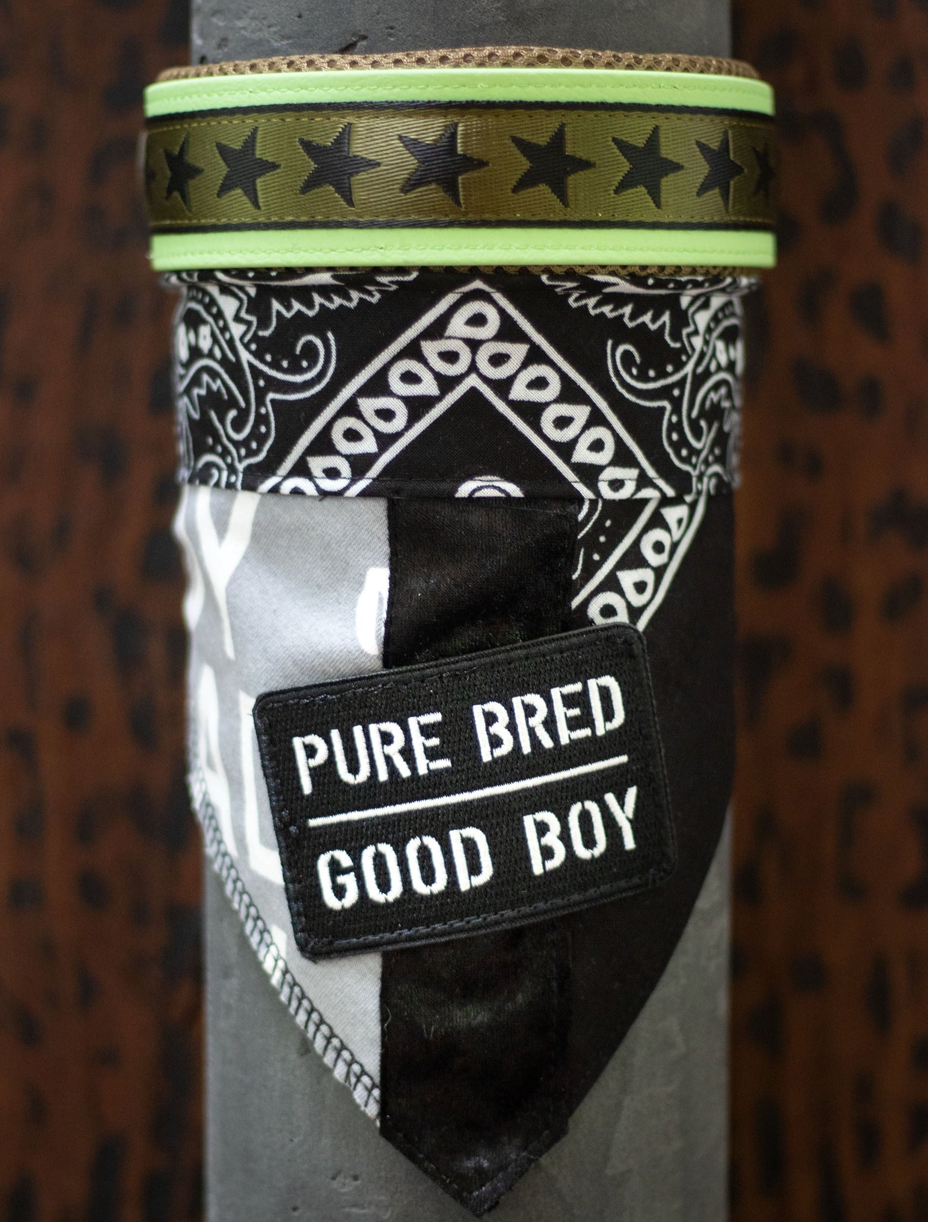 Poshy Paisley Bandana - Schwarz -Bad Boy Stoff grau - Pure Bred Good Boy