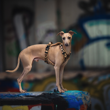 Doppel X Harness from XXS Love 2cm Webbing - Small Dogs