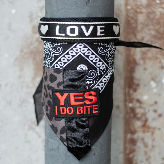 Poshy Paisley Bandana - Schwarz- Leopard- YES I do bite