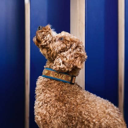 Air Mesh Halsband Love 2cm kleine Hunde