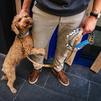 UrbanColor Leine - Love 2cm kleine Hunde bis 12kg