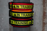 In Training Air Mesh Halsband - 5 cm
