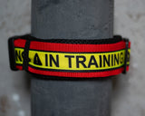 In Training Air Mesh Halsband - 5 cm