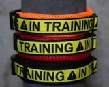 In Training Air Mesh Halsband - 3,5 cm